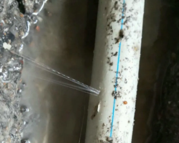 阳高卫生间测漏水多少钱